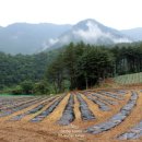 율전1리 마을회관 이미지