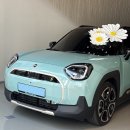 에이스그린모터스