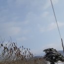 신이내린오디정가네농원