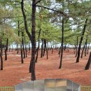 지경국민여가캠핑장 이미지