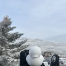 덕수교차로(평화로) | 제주 겨울 눈꽃 여행지, 1100고지 가보자고! (교통통제 및 cctv 확인방법 공개)