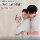 애견가족 | 광주 애견동반 가족스냅 베이비스냅 추천 블라썸시즌 실내촬영 후기