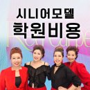 시니어 모델 학원 비용 2025년