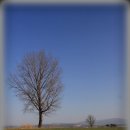 푸른들목장 이미지