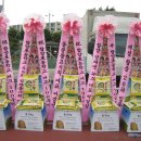 함양초등학교 이미지