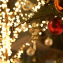 동상동 로데오거리 이미지