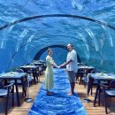 세계주류총판 | [공지] [포브스 선정 5성급 럭셔리] 몰디브 후라왈리 리조트 앵콜 공동구매(악당강아지 단독 - 수중...