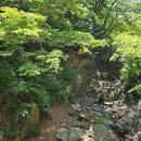 울산 어물동 마애약사여래삼존상 이미지