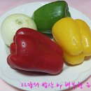 황금버섯 이미지