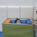 청라짐보리