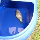 정완농장 이미지