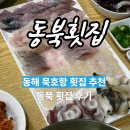 묵호항회집 | 묵호 맛집 | 묵호항 회 먹기 좋은 동해 동북횟집 솔직후기