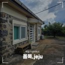 올목, jeju 이미지