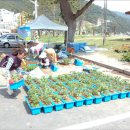 일운면사무소 이미지