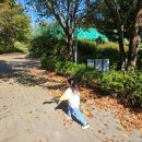 하소생활체육공원 유아숲 이미지