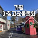 수목원동물병원 | 아이랑 가평 아침고요동물원 3번째 방문 후기 feat. 동물종류 소개