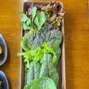 대추한알가든쌈고기 이미지