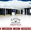 영골프스크린 이미지