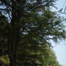 올리브하우스 이미지