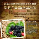 미아팜약국 | 양평군 팜 투어 후기 올립니다.