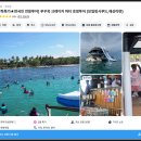 크레이지100 | 푸꾸옥 크레이지 호핑투어 가격 시간 준비물 복장 후기