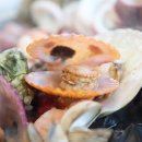 바다상회 이미지