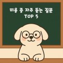 멍멍나래 네이버블로그
