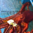 잡아잡아낚시카페 이미지