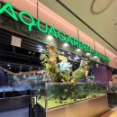 까페 놀곳 | 잠실 놀만한 곳(+카페 아쿠아가든 롯데월드점 후기)