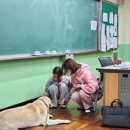 개양중학교 이미지