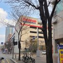 경기 고양 일산 코스트코 치즈 종류 추천상품 가격 후기