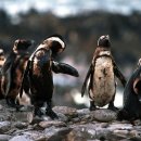 한국문화공간협회 이미지