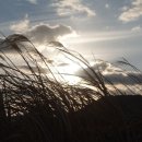 시흥리-8 이미지