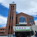 주일축산 이미지