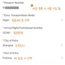 탑PC랜드 | 중국 여행 상하이 입국신고서 작성 방법 입국심사 준비물