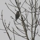 기다리는 마음 이미지