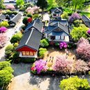 선암사
