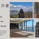 미라클공인중개사사무소 | [공지] [강남부동산의 기적,강남미라클공인중개사사무소]