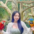 모닝투어(MORNING TOUR)