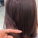 방배역 4번출구 교통섬 | 방배역 미용실 모이브헤어 금모래원장님 퍼스널컬러 웨딩 염색 후기