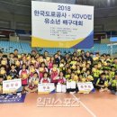 어등초교 이미지