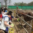 동작청소년문화의집 이미지