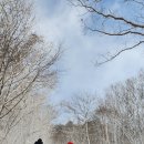 하늘목장 이미지