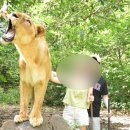 [모리셔스] 꼭 가볼만한 여행지 추천 _ 카젤라 파크 입장료 및 예약방법