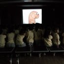 큰별초교병설유치원 이미지