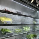 집현전문구석사점 | [춘천 맛집] 원조쌈밥집 춘천석사점 방문기 :: 가성비 내리는 점심식사! 내돈내산 만족후기