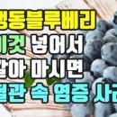 생 블루베리 효능 냉동 블루베리 칼로리 이미지