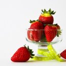 직업상담사 2급 필기 (5과목 - 노동관계법규) 이미지