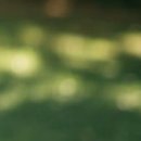 신창한방병원 이미지