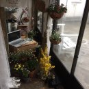 시골상회 네이버블로그